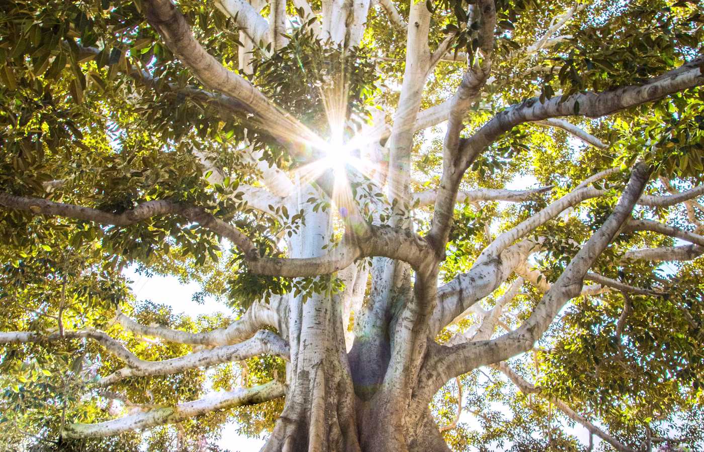 Энергия онлайн в Москва